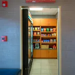 Springhill Suites By Marriott - Tampa Brandon